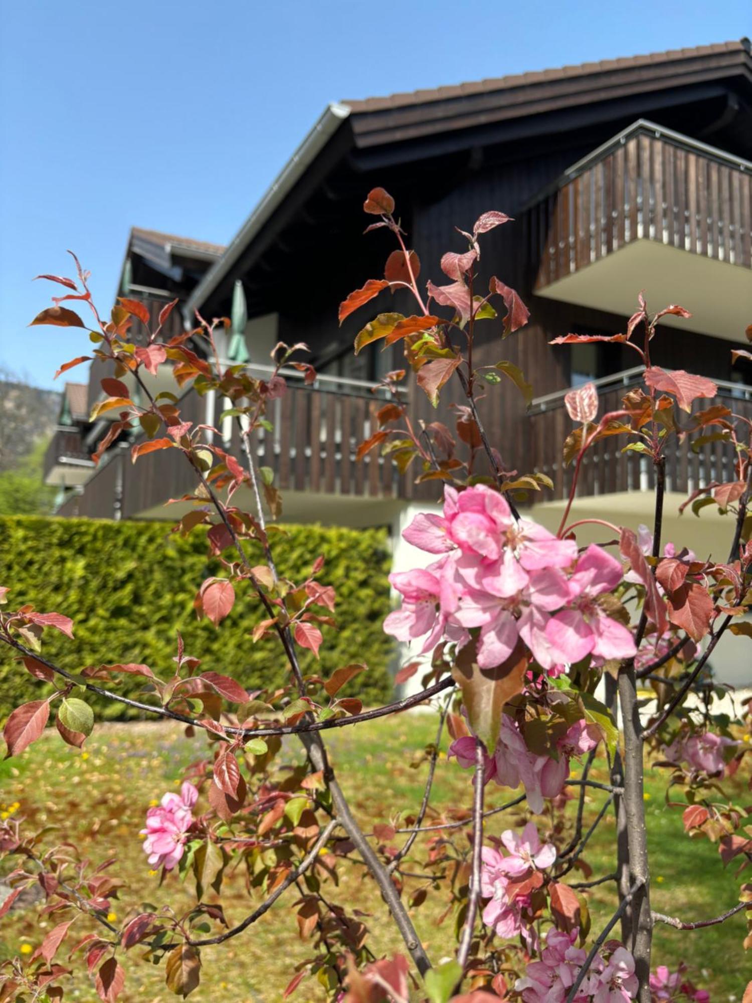Bader Suites Garmisch-Partenkirchen Buitenkant foto